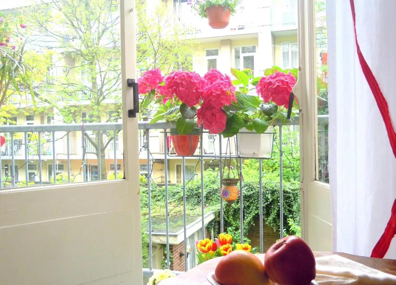 أمستردام Missortelia B&B هولندا