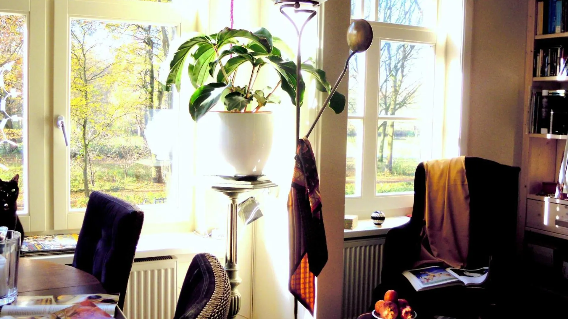 فندق مبيت وإفطار أمستردام Missortelia B&B