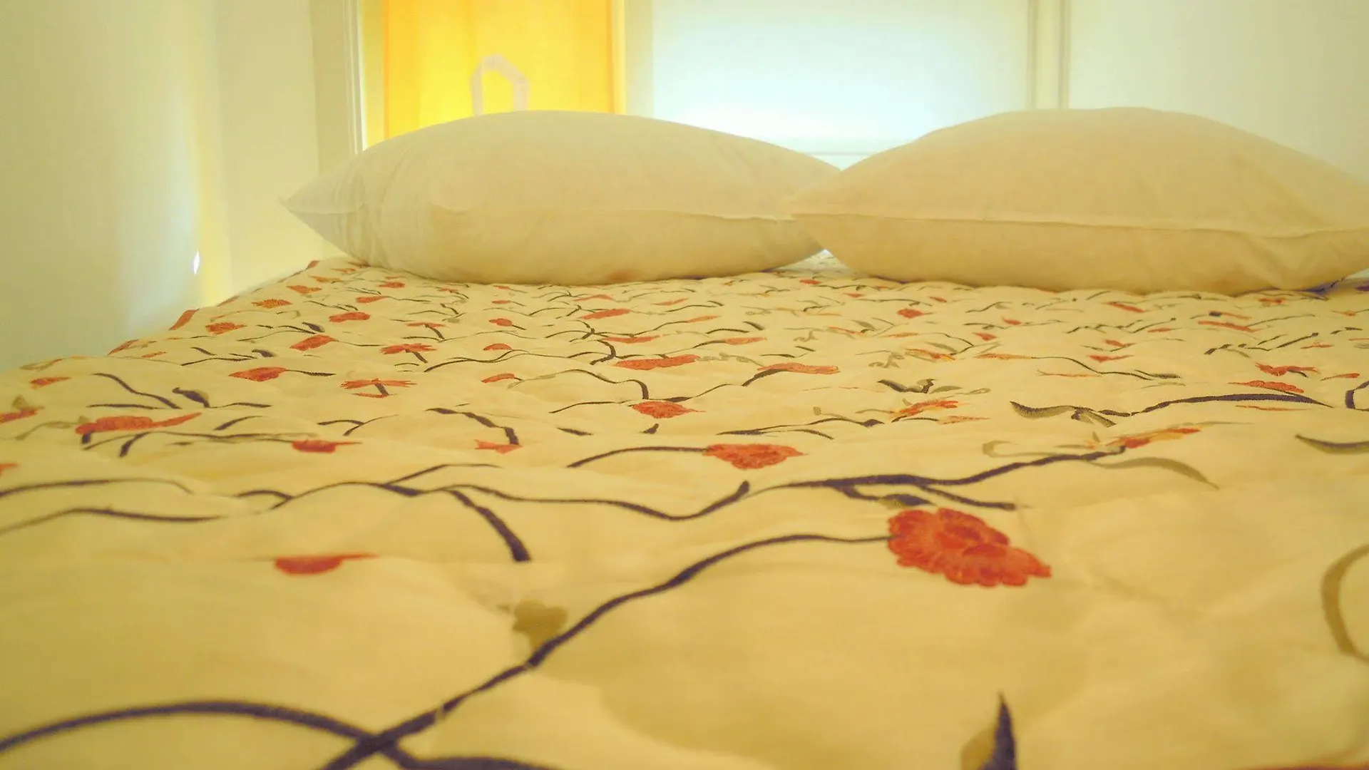 فندق مبيت وإفطار أمستردام Missortelia B&B